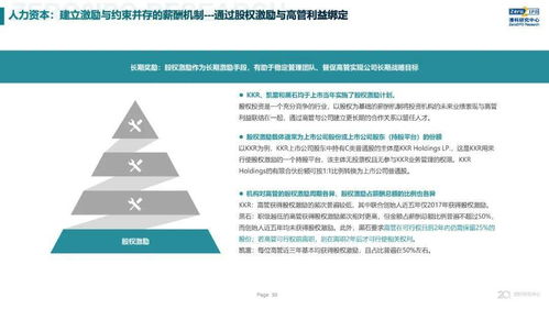 2020年全球另類投資機(jī)構(gòu)發(fā)展戰(zhàn)略與公司治理研究——深度解讀KKR、黑石、凱雷的戰(zhàn)略與治理變遷
